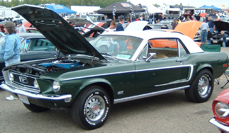 Ford Mustang 390 Gt. Don Potter#39;s GT 390 Coupe